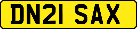 DN21SAX