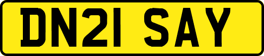 DN21SAY