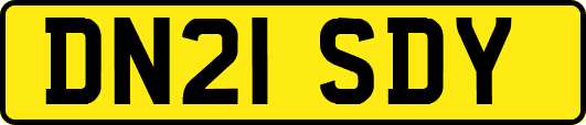 DN21SDY