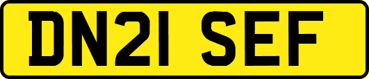 DN21SEF