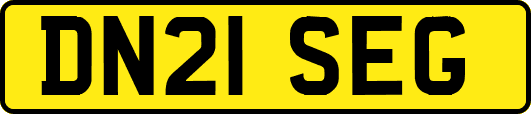DN21SEG