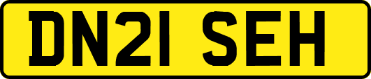 DN21SEH