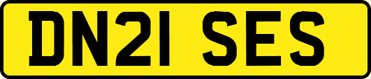 DN21SES