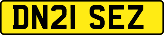 DN21SEZ