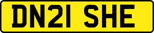 DN21SHE