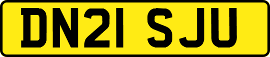 DN21SJU