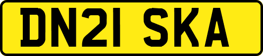 DN21SKA