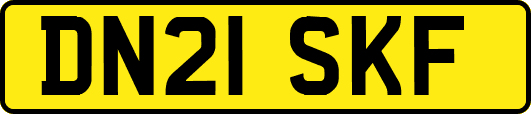 DN21SKF