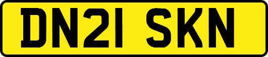 DN21SKN