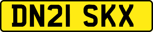 DN21SKX