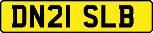 DN21SLB