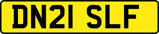 DN21SLF