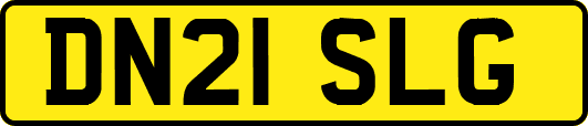 DN21SLG