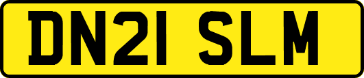 DN21SLM