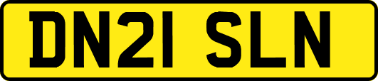 DN21SLN
