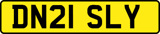 DN21SLY