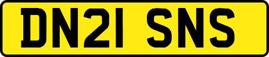 DN21SNS