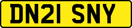 DN21SNY