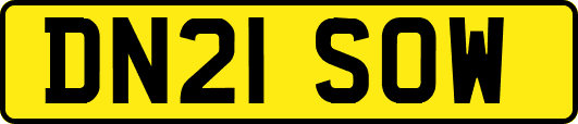 DN21SOW