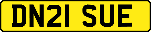 DN21SUE