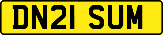 DN21SUM