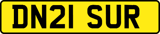 DN21SUR
