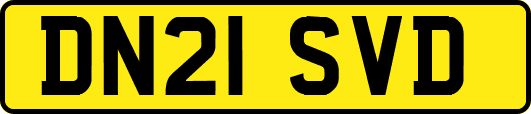 DN21SVD