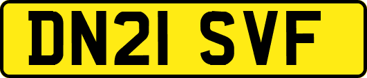 DN21SVF