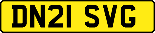 DN21SVG