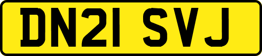 DN21SVJ