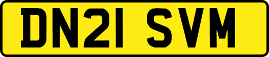 DN21SVM