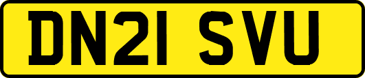 DN21SVU