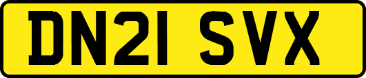 DN21SVX