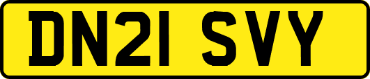 DN21SVY