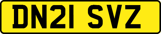 DN21SVZ