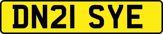 DN21SYE