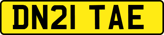 DN21TAE