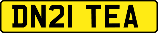 DN21TEA
