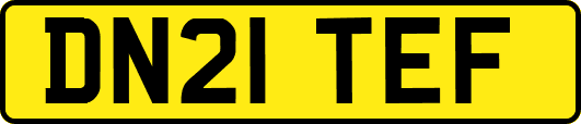 DN21TEF