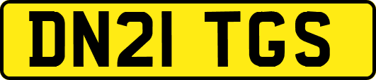 DN21TGS