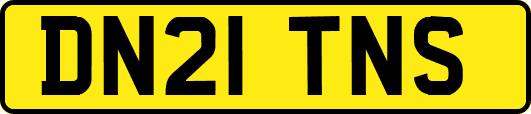 DN21TNS