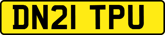 DN21TPU