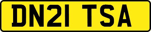 DN21TSA