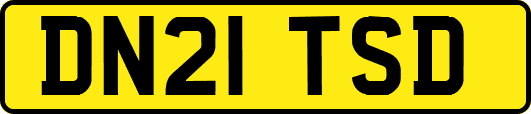 DN21TSD