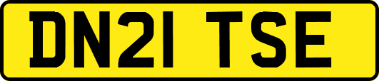 DN21TSE