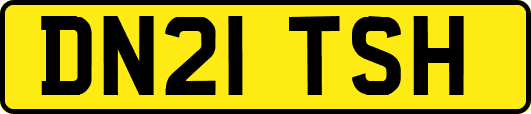 DN21TSH