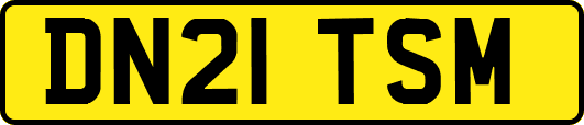 DN21TSM