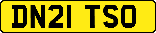 DN21TSO