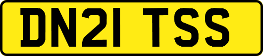 DN21TSS