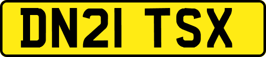 DN21TSX